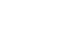 VOLT CULTURE
